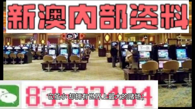 2024澳门正版四不像精准资料,富强解释解析落实专享版210.322