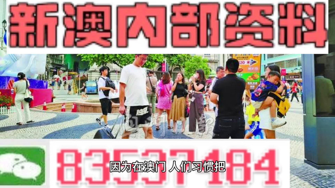 2024年澳门精准正版四不像网,文明解释解析落实高端版250.292