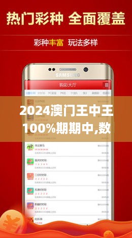 2024年新澳门王中王免费,富强解释解析落实高端版240.270