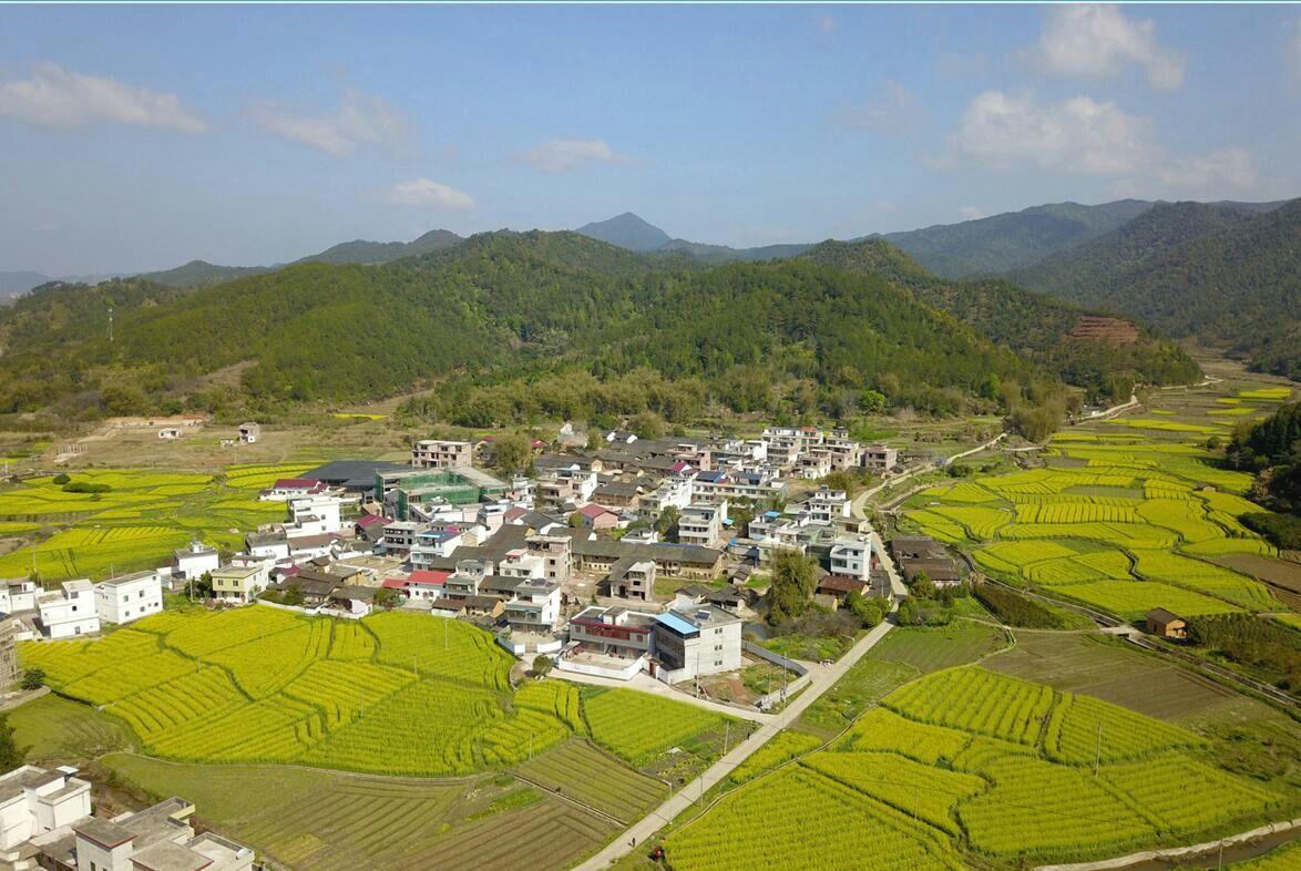 广东省头雁工程成效显著，引领地方经济高质量发展