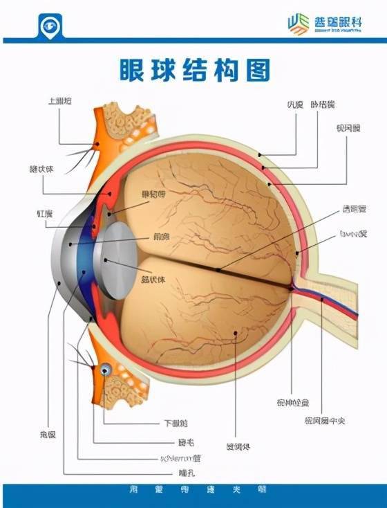 孕妇七个月啪啪后有血，关注孕期性行为与健康