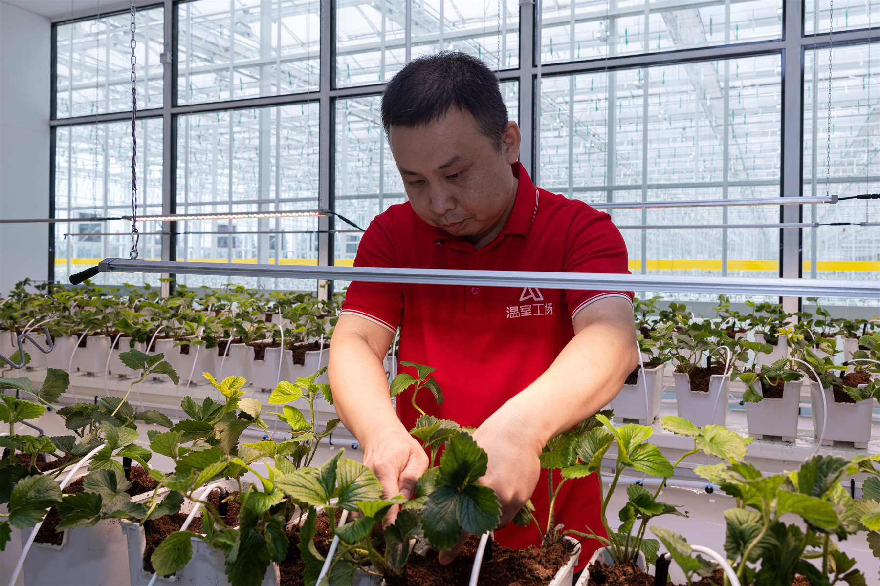 江苏永一植保科技，引领植保行业，迈向科技新时代